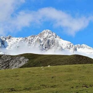Ayudar a la naturaleza merece un premio; ¿Se sabe cuál es?