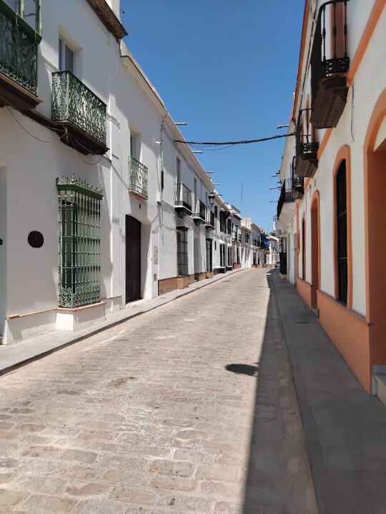 La Policía cierra un local de cannabis del centro y detiene a una persona